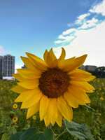 https://images.plurk.com/Mdtt8cPtpHOFMrNGlHPEu.jpg
