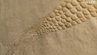 https://images.plurk.com/MnehaypHHSi19SrF38AoS.jpg