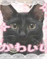 https://images.plurk.com/MuiOaxxjKrnTsZEyRXfnF.jpg