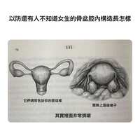 https://images.plurk.com/MuvLOIvpAFlwEya2D8x8y.jpg