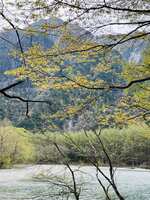 https://images.plurk.com/MvkM6GNcaJmLQXtgbAM8G.jpg