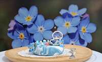 https://images.plurk.com/MzEotqcDQZ5eBZMsZE8c0.jpg