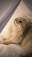 https://images.plurk.com/N3kgAJRRIN5zqYmQtLBRN.jpg