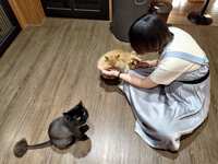 https://images.plurk.com/N830TvOxmRB033P8x78vO.jpg