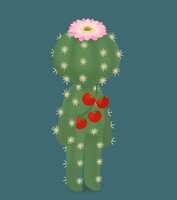 https://images.plurk.com/NAMsqLm22DtvZiLqR8V5T.jpg