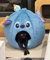 https://images.plurk.com/NDHTeteD1j1HeOl5iTUoj.jpg