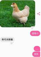 https://images.plurk.com/NDeXgxRZzWpYo2IOG5mpF.png