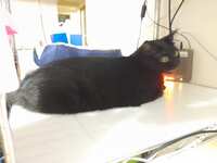 https://images.plurk.com/NNZnXZ8VmsRiRvkHOJxse.png