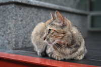 https://images.plurk.com/NQdOG0GYUdcodpBtf9s53.jpg