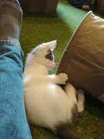 https://images.plurk.com/NXNT7Vj2l3vjyY2U5d7JR.jpg
