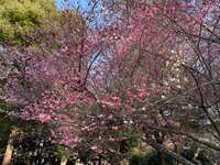 https://images.plurk.com/NZJm4eihIS34sTwbkByAY.jpg