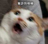 https://images.plurk.com/NZoFXJsuB2oOgPqNMlegj.jpg