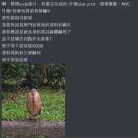 https://images.plurk.com/Nge9SuFbGK7IgtOtNzB2t.png