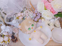https://images.plurk.com/Nh3zplbVGOVMMwoNbhswV.jpg