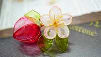 https://images.plurk.com/NjJOX2OGn91OWx8OofgsJ.jpg