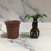 https://images.plurk.com/Nr23l3EPS8aSVOsT2QjOy.jpg