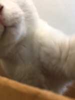 https://images.plurk.com/NtSgdYrGSc1Bk0rNFI5gk.jpg