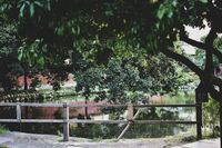https://images.plurk.com/NzNtF5tngLZL0HmvrnF73.jpg
