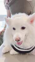 https://images.plurk.com/O97KAAj9teDXiEZZK9KKF.jpg