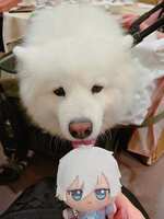 https://images.plurk.com/OEsDpGbFWNScqKpiaoJnI.jpg