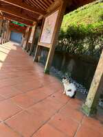 https://images.plurk.com/OFS5JXxLsUJwxaTTWk42U.jpg