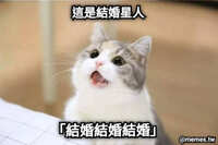 https://images.plurk.com/OJccrROjUKw7epwy4BJGf.jpg