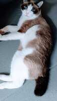 https://images.plurk.com/OJcifyLLsT1Mn8SBt2tUk.jpg