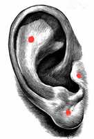 https://images.plurk.com/OKHB9nmmLwMQRbhUjcsUj.jpg