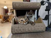 https://images.plurk.com/OLKEHFc8V6X8aNhCF3Pxw.jpg
