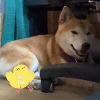 https://images.plurk.com/OOuMLZ48umfvCwqPsIfk2.jpg