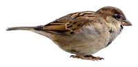 https://images.plurk.com/OYpDrp5ZvkzMxoBp3bbcr.jpg