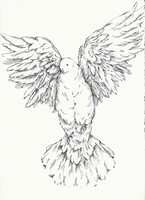 https://images.plurk.com/OjixrofnxmGLfT4mXsxH4.png