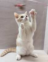 https://images.plurk.com/Ol0gGPZIcSOh5bOkjrmWf.jpg