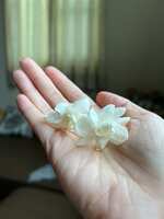 https://images.plurk.com/Omr5JMjcE2FIG6V9RkeEA.jpg