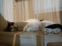 https://images.plurk.com/OnHBh1CQ2lw631x2ViPaZ.jpg