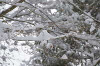 https://images.plurk.com/Ona6MXSJvG8hLgQMfCRPJ.jpg