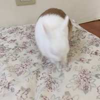 https://images.plurk.com/P1gcuW9lOr8xoHVeCiuv.jpg