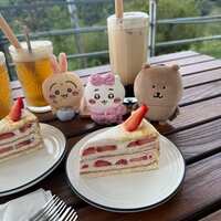 https://images.plurk.com/P3Fytgymh8xJkmBuSvVsF.jpg