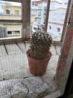 https://images.plurk.com/P5d4wLY3LdsaidIap5tlL.jpg