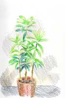https://images.plurk.com/P7tbwsWqD1fWG9FuZn68y.png
