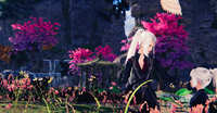 https://images.plurk.com/PGIHO3FO6X3rEn1cliJKn.jpg