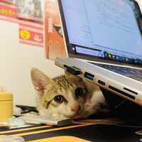 https://images.plurk.com/PRy5d9LxJ448AgRrQFDJb.jpg