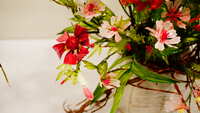 https://images.plurk.com/PSviG7wrKvvTqAFUy1gRV.jpg