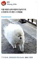 https://images.plurk.com/PXTi26adOkWcjUAf3r5sd.png