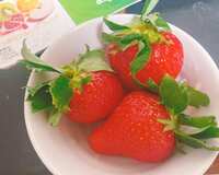 https://images.plurk.com/Pa57MqbfuefGZ6tKnOAES.jpg