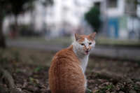 https://images.plurk.com/PfytfB5NA5uTsqz95WFuy.jpg