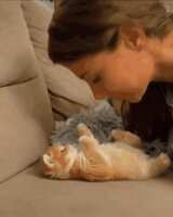 https://images.plurk.com/Pj4pEQxvL6OhG3dAmfSGi.gif