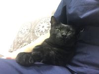 https://images.plurk.com/Pk4w683kgUDorMnjvZzgo.jpg