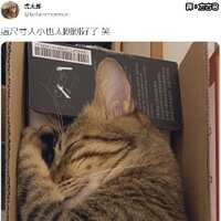 https://images.plurk.com/PlALBnr2seeZE7eRLRbrz.jpg