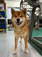 https://images.plurk.com/PpDHHi8fFniG9wcQJgeDp.jpg
